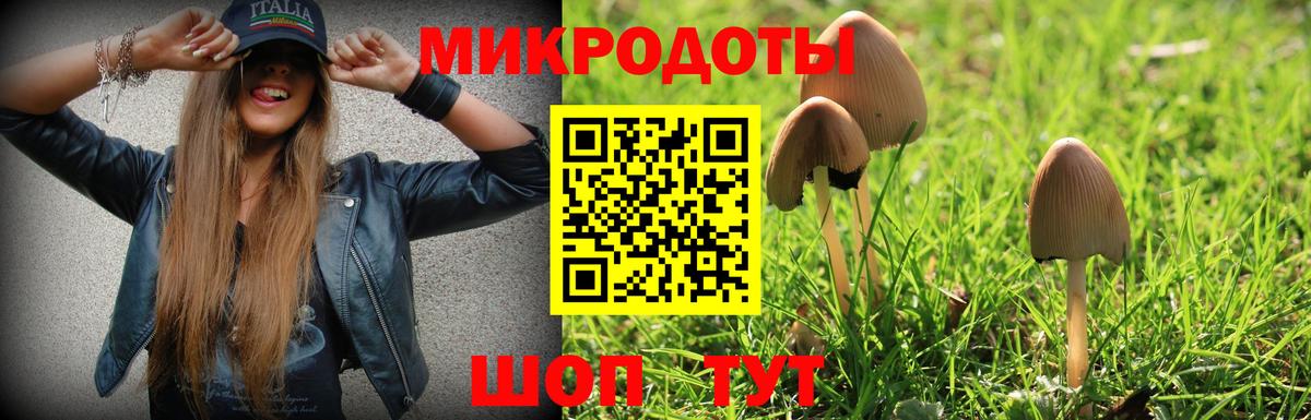 дарнет шоп  Галлюциногенные грибы прущие грибы  Вход с VPN  Железногорск 