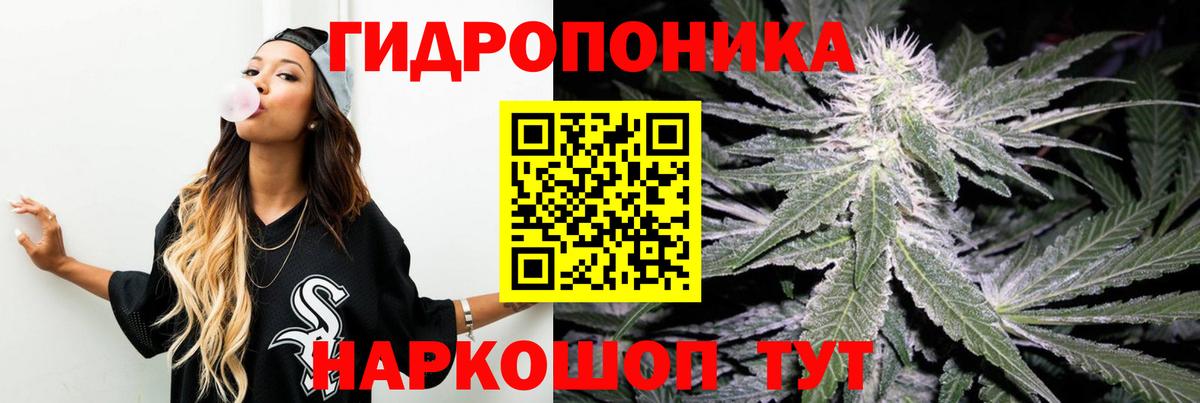 Марихуана план Железногорск